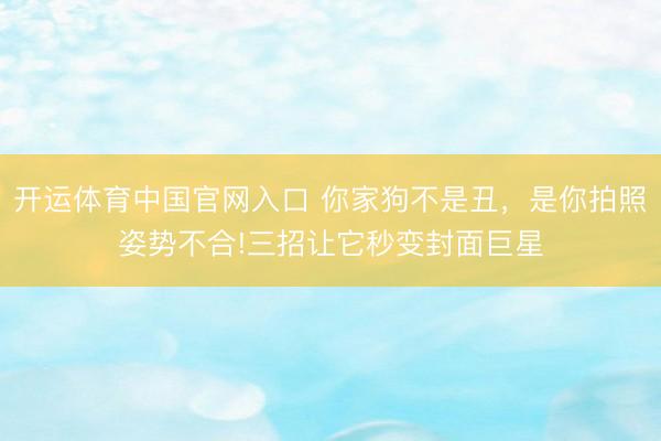 开运体育中国官网入口 你家狗不是丑，是你拍照姿势不合!三招让它秒变封面巨星