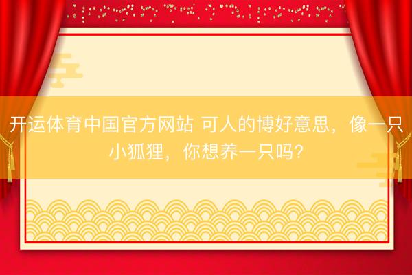 开运体育中国官方网站 可人的博好意思，像一只小狐狸，你想养一只吗?