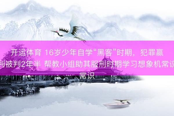 开运体育 16岁少年自学“黑客”时期，犯罪赢利被判2年半 帮教小组助其服刑时期学习想象机常识