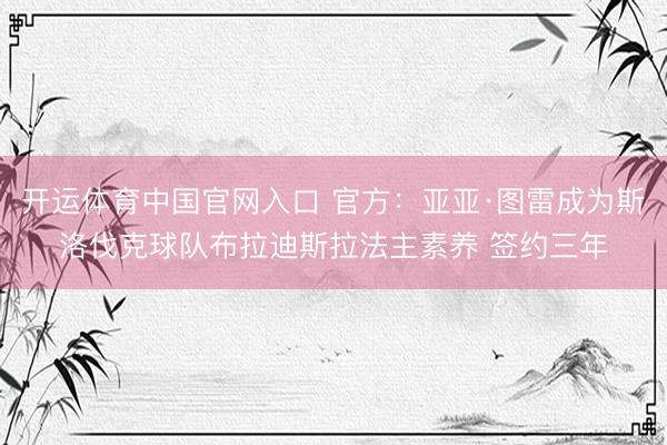 开运体育中国官网入口 官方:亚亚·图雷成为斯洛伐克球队布拉迪斯拉法主素养 签约三年