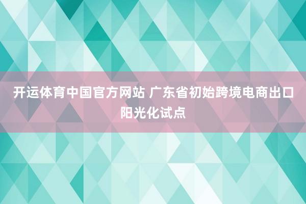 开运体育中国官方网站 广东省初始跨境电商出口阳光化试点